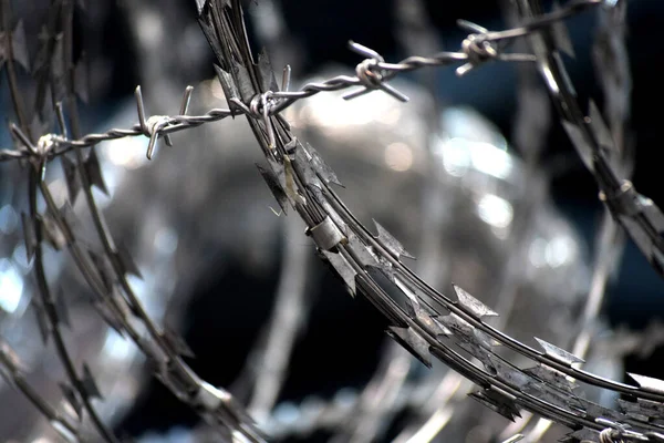 Barbed Wirebarbed Wire Focus Close Shoot — Stock Photo, Image