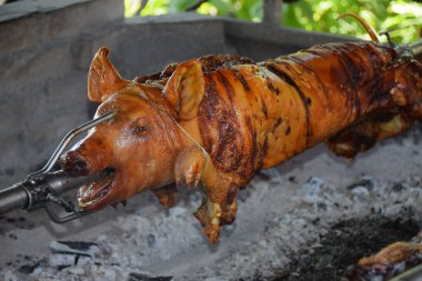 Şişte domuz eti - geleneksel domuz hazırlığı
