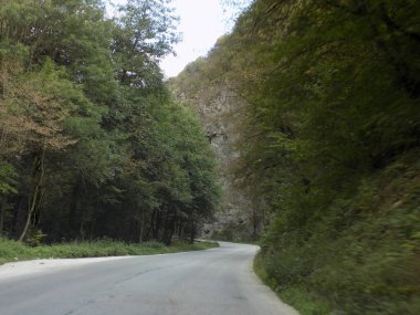 KÖTÜ KUTUKLAR KUTLARI