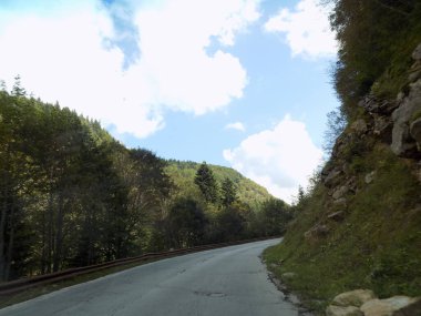 KÖTÜ KUTUKLAR KUTLARI