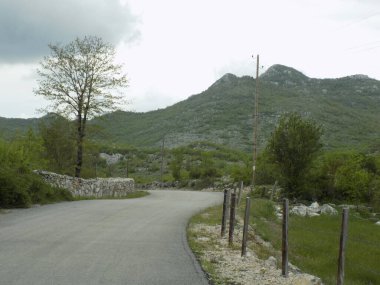 KÖTÜ KUTUKLAR KUTLARI