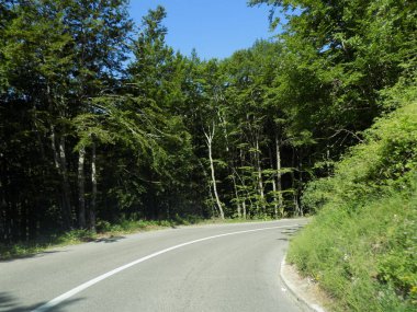 Yarış pistinde sağa doğru eğil.