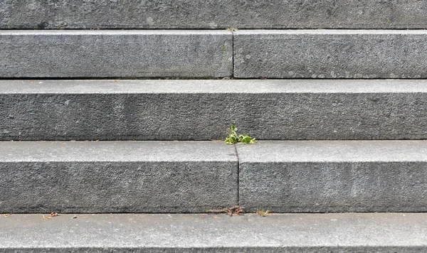Stairs Made Stone — Stock Photo, Image