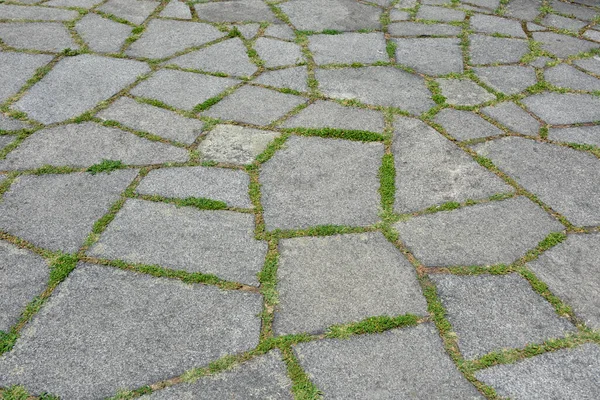 Paving Stones City Street Downtown — Stock Photo, Image