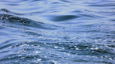 Dalgalar dalgalı denizde