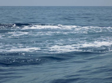 Dalgalar dalgalı denizde