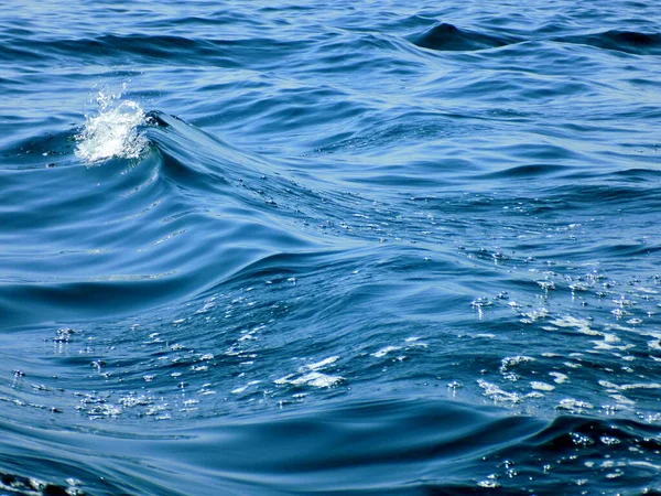Wellen Auf Dem Turbulenten Meer — Stockfoto