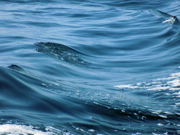 Vlny Bouřlivém Moři — Stock fotografie