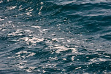 Kirli ve kirli su yüzeyi