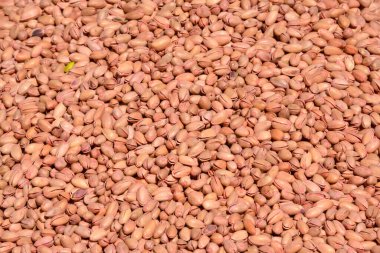 İstanbul pazarında çeşitli fındıklar