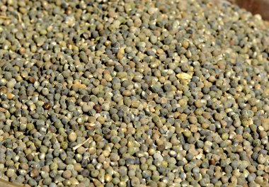 Arkaplan olarak yeşil biberler