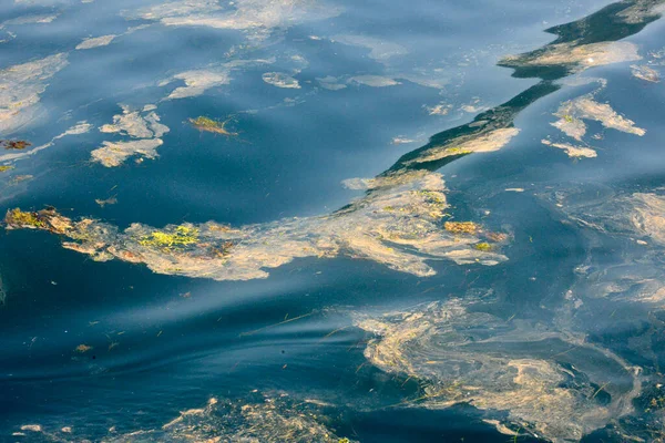 Грязная Загрязненная Поверхность Воды — стоковое фото