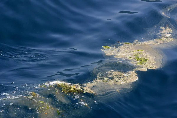 Грязная Загрязненная Поверхность Воды — стоковое фото