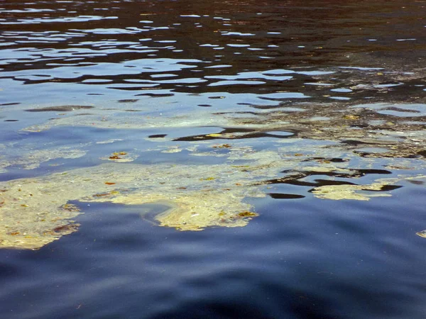 Vuil Verontreinigd Wateroppervlak — Stockfoto