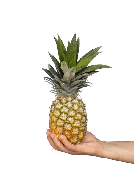 Reife Ananas Der Hand — Stockfoto