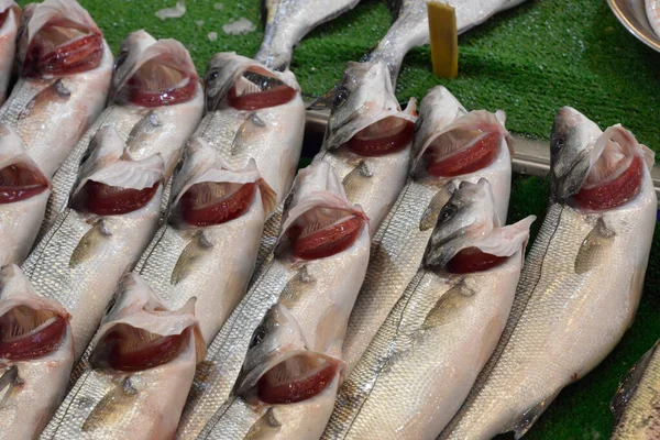 Färsk Fisk Med Röda Gälar Fiskmarknaden — Stockfoto