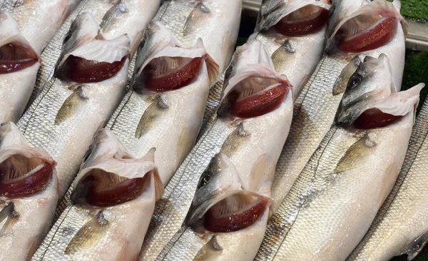 Färsk Fisk Med Röda Gälar Fiskmarknaden — Stockfoto