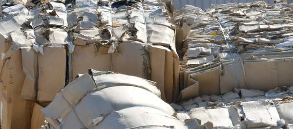 stock image Packed bales of pressed paper and carton in the backyard of recycling factory