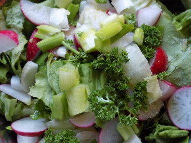 Taze bahar salatası arka planı