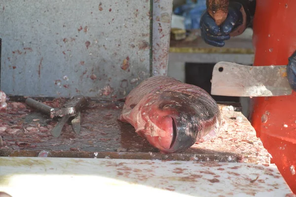 Butcher cuts fish on the table, on the fish market