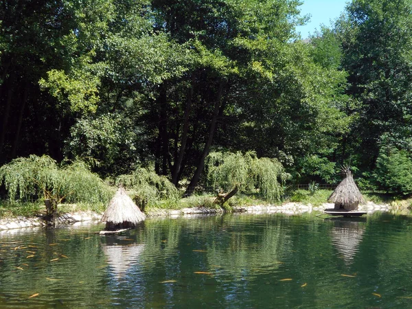 Hodowla Pstrągów Małym Jeziorku Kurorcie Turystycznym — Zdjęcie stockowe