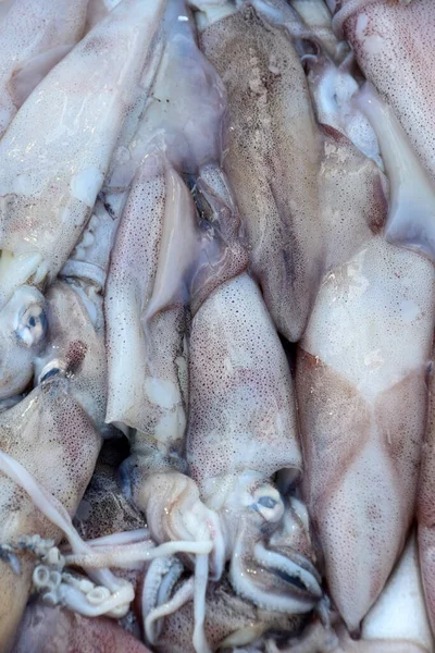 Squid Catch Fishermen Fish Market — Stock Photo, Image