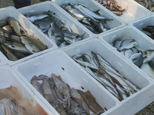 stock image Provisional little fish market, where fishermen sell their catch