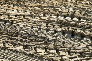 Arka plan olarak kum üzerinde lastik izleri