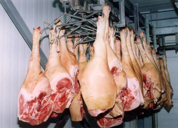 Aan Haken Van Het Slachthuis Opgehangen Geslachte Dieren — Stockfoto