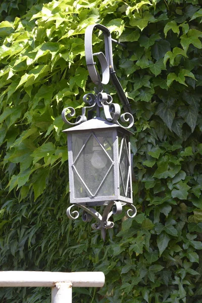 metal garden lantern with green leaf background