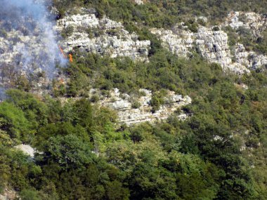Dağ orman yangını