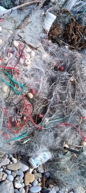 Skadar Gölü Montenero manzarası