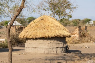 Tarangire, Tanzanya - 12 Ekim 2022: Tanzanya savanasında saman çatısı olan bir Masai çamur kulübesi.