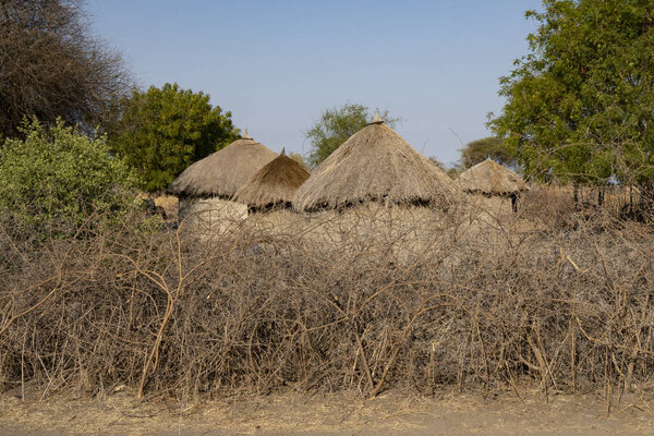 A masai village in Tanzania, containing a few mud huts with straw roofs, surrounded by a thorn fence, to keep predators out.