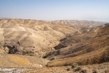 Prat deresinin panoramik manzarası, İsrail 'in Judea çölünde yaz mevsiminde geziniyor..