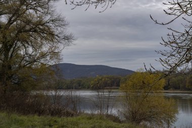 Macaristan kırsalındaki Tuna Nehri, bulutlu bir kış gününde.