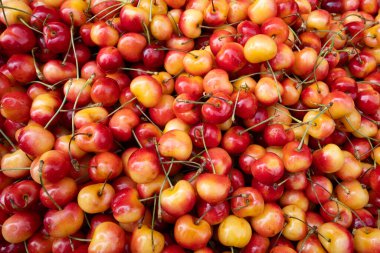 Bir yığın taze sarı - kırmızı Rainier kirazı, bir pazar yerinde satılık..