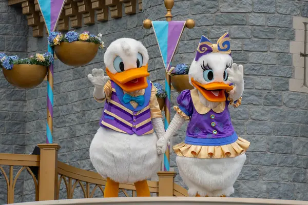 Ορλάντο Ηπα Ιουλίου 2023 Χαρακτήρες Donald Daisy Duck Μια Παράσταση — Φωτογραφία Αρχείου