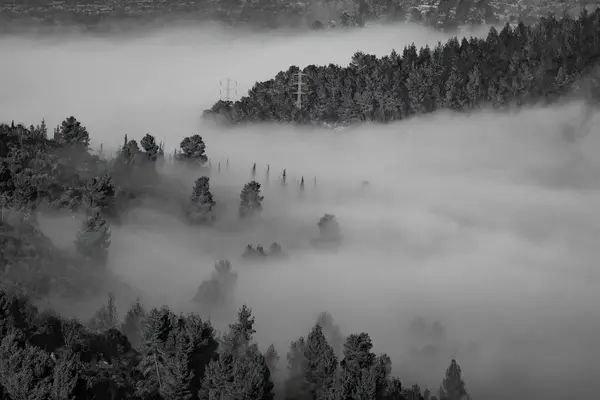 A cloud in a valley among the Judea mountains, near Jerusalem, Israel. A black and white landscape image.