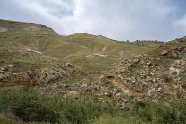 İsrail 'in Yahudiye Çölü sınırındaki Prat deresini çevreleyen tepeler kışın yeşile döner..