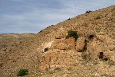 İsrail 'deki Judea çöl tepeleri, kış mevsiminden sonra yeşil noktalı kayalıklardan ve mağaralardan oluşan bir manzara sunar..