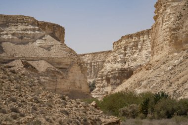 Ein Avdat Kanyonu 'nun kayalıkları, İsrail' in güneyindeki Negev Çölü 'nde.