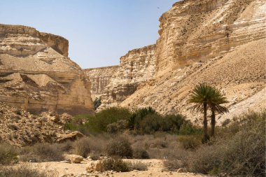 Ein Avdat Kanyonu 'nun kayalıkları, İsrail' in güneyindeki Negev Çölü 'nde.