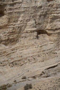 İsrail 'in Negev Çölü' ndeki Ein Avdat Kanyonu 'nun zorlu uçurumlarının aşağısındaki bir patikada yürüyüş yapanlar..