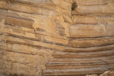 A layered limestone rock formation in Ein Avdat canyon, the Negev desert, Israel. clipart