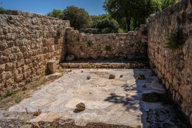 Khurbat Khanot, Israel - April 20th, 2024: An ancient mosaic floor of a ruined Byzantine church in the Judea mountains, Israel. clipart