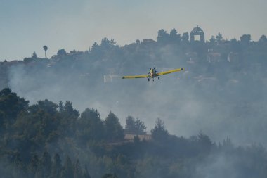 Mevasseret Zion, İsrail - 3 Ağustos 2024: Kasaba evleri yakınlarındaki bir orman yangınında uçan bir itfaiye uçağı.