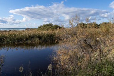 Kısmen bulutlu bir günde sakince akan bir deniz kıyısı deresi.