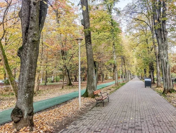 Podzim Parku Městě Baia Mare Rumunsko — Stock fotografie