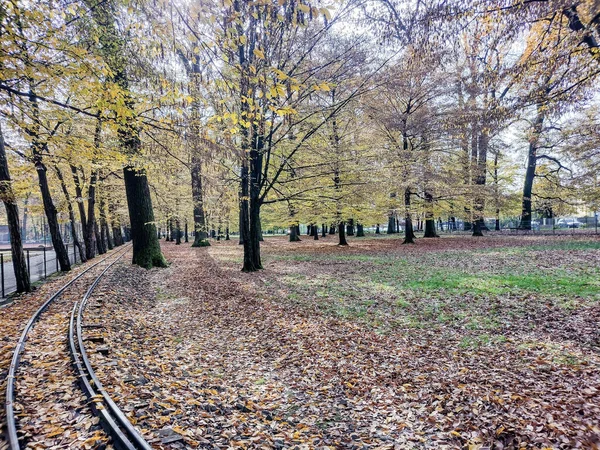 Σιδηρόδρομος Στο Πάρκο Φθινόπωρο Στην Πόλη Baia Mare Ρουμανία — Φωτογραφία Αρχείου